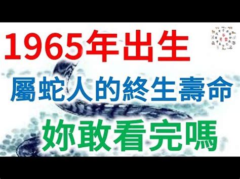 65年屬什麼